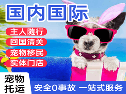 漠河古莲航空空运国际宠物托运 【国
